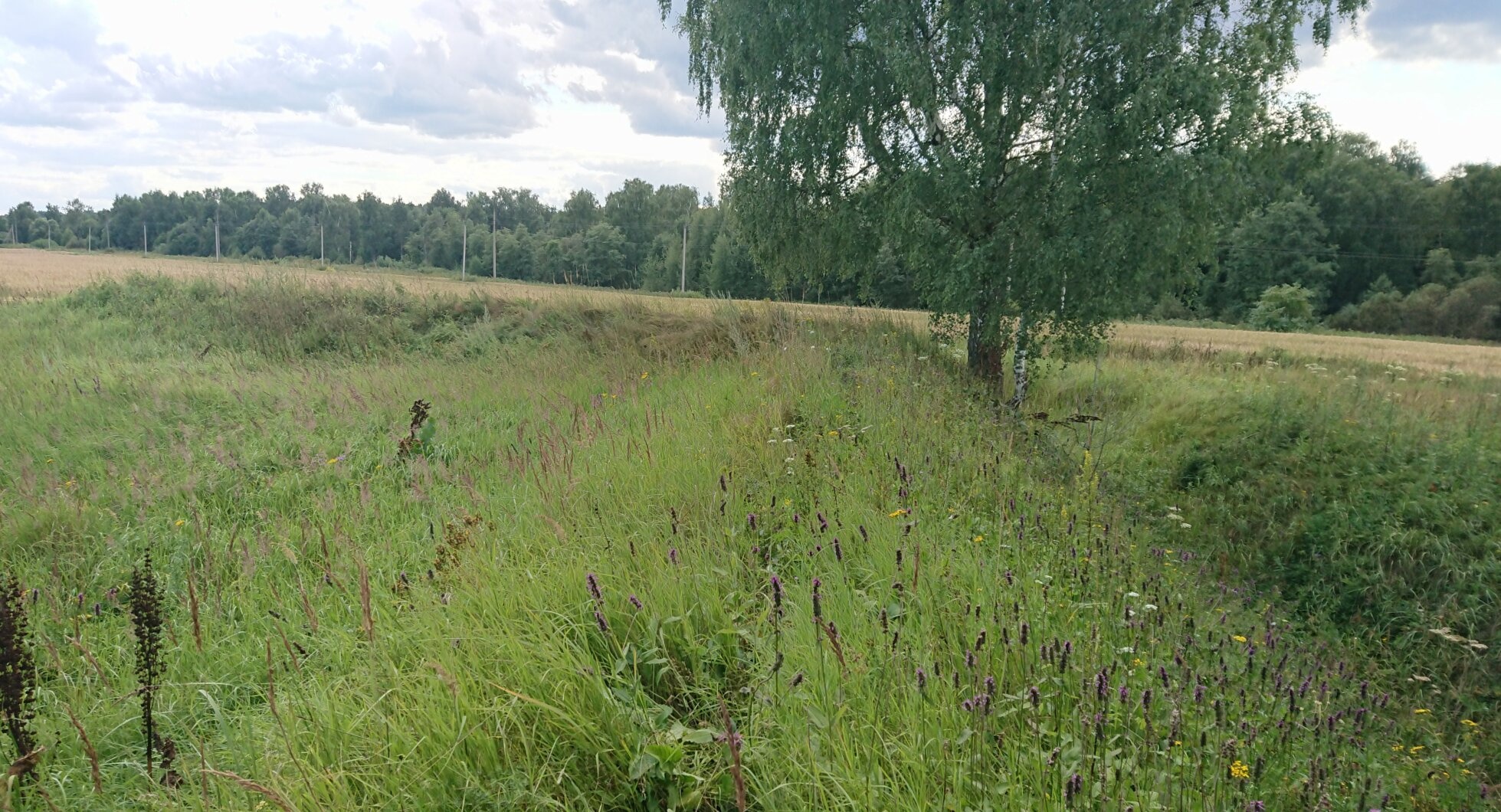 Церковь иконы Божией Матери «Знамение» в Трубино