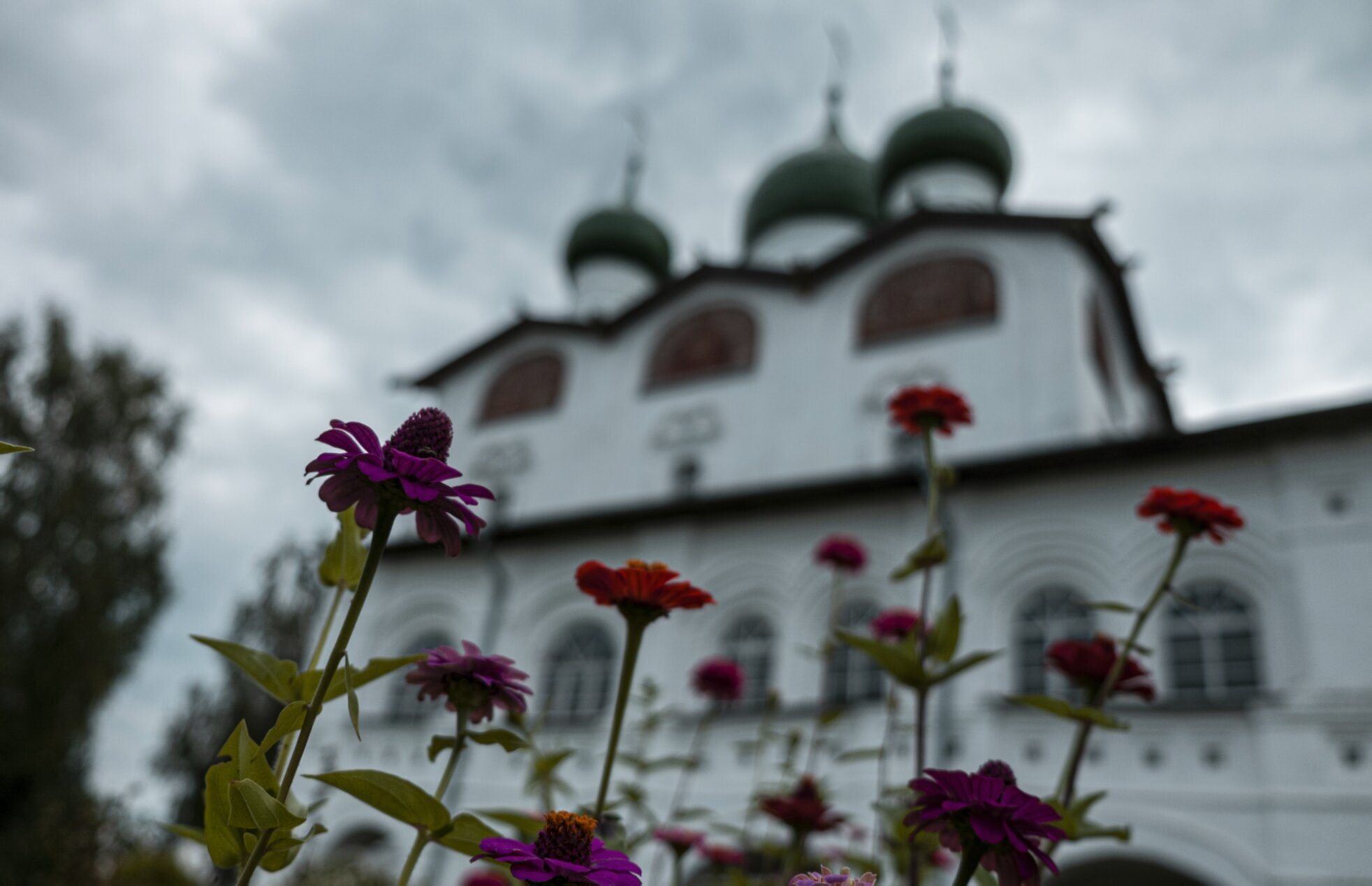 Никольский собор Вяжищского монастыря