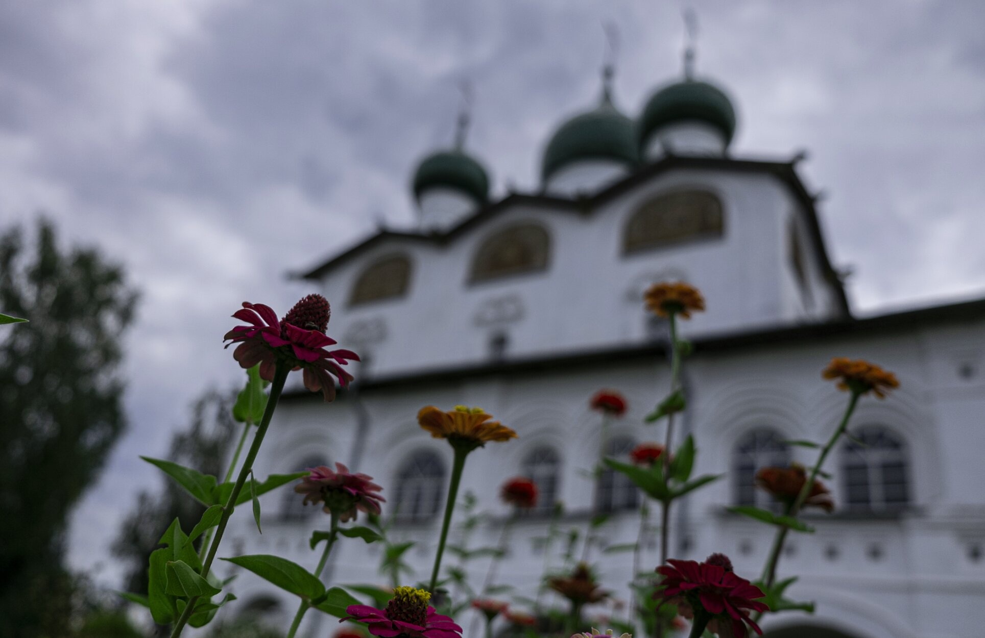 Никольский собор Вяжищского монастыря: цветы у древних стен