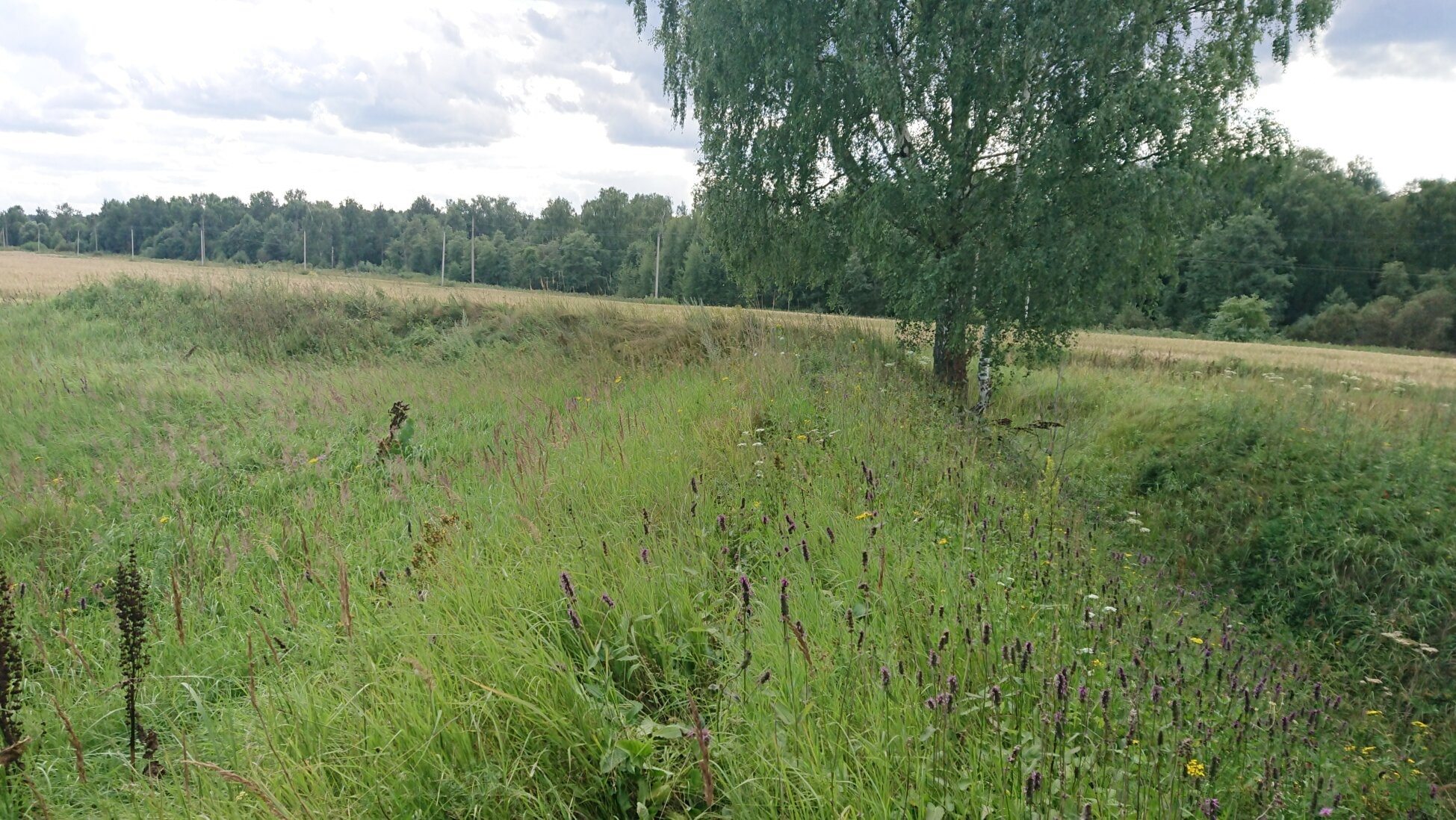 Церковь Рождества Пресвятой Богородицы в селе Ивановское