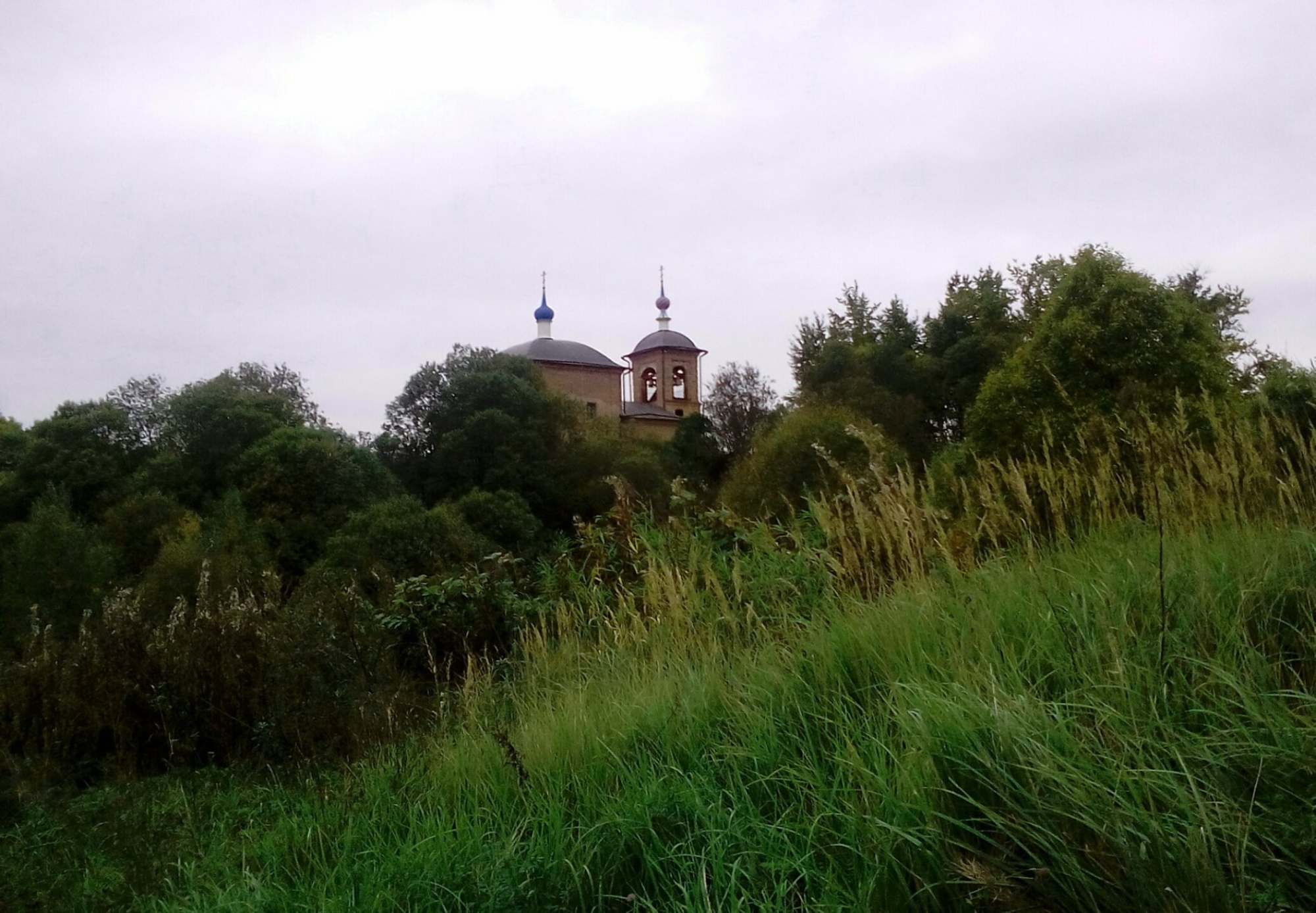 Фотография церкви Успения Пресвятой Богородицы в Борзецове