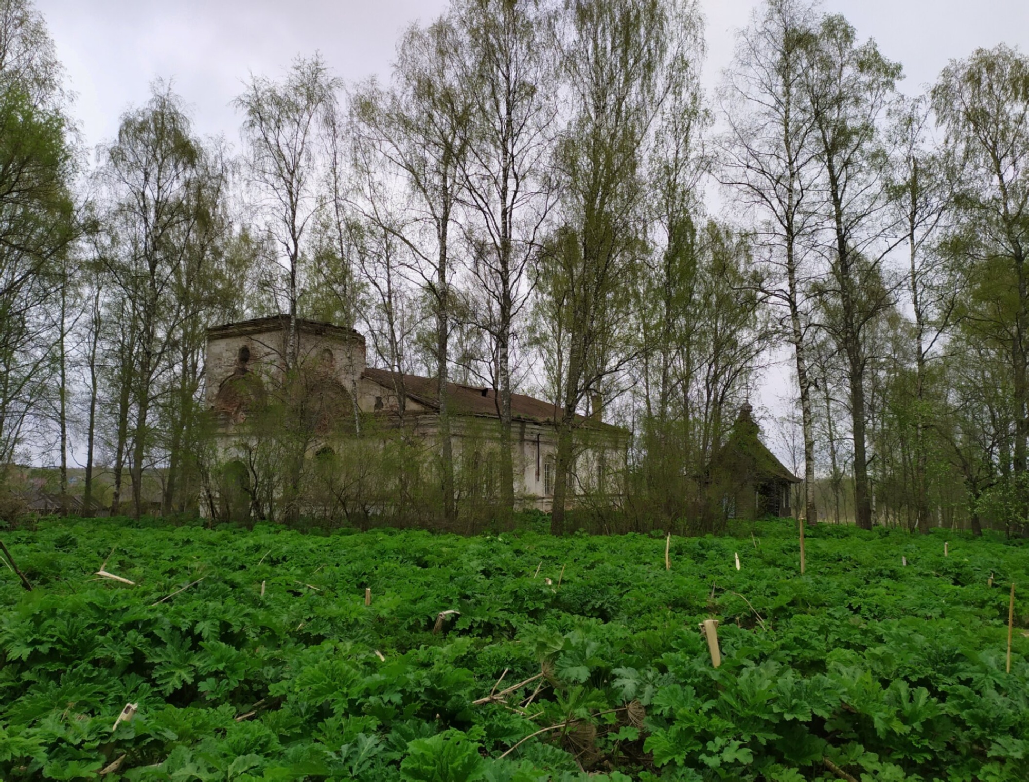 Церковь Покрова Пресвятой Богородицы в Пиногощах - история в фотографиях