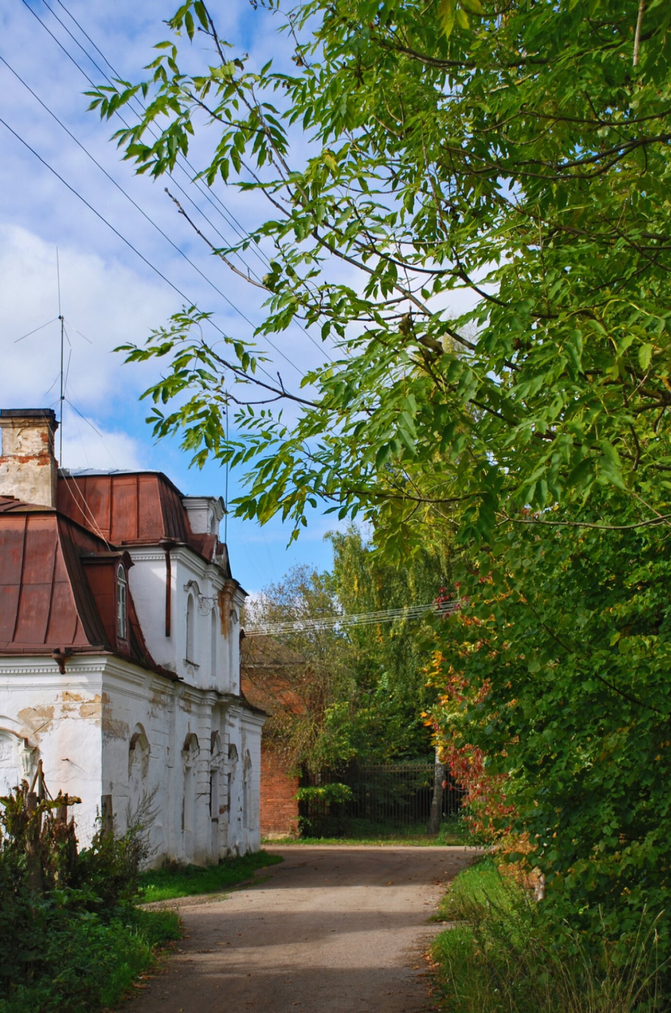Спасская церковь в усадьбе Волышово