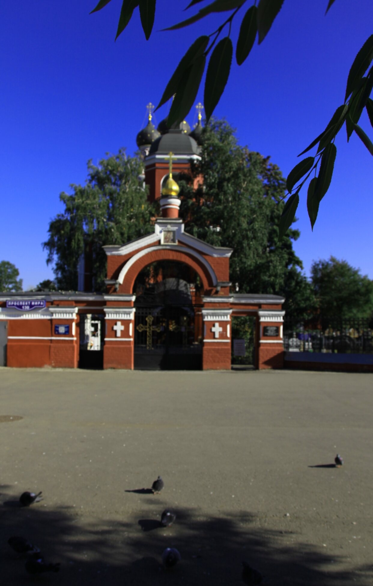 Вид с колоннады Исаакиевского собора