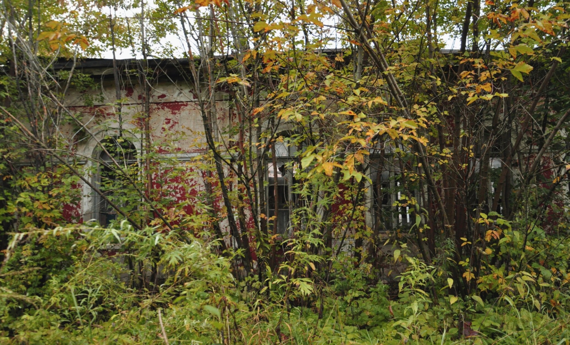 Церковь Успения Пресвятой Богородицы в Черкизово