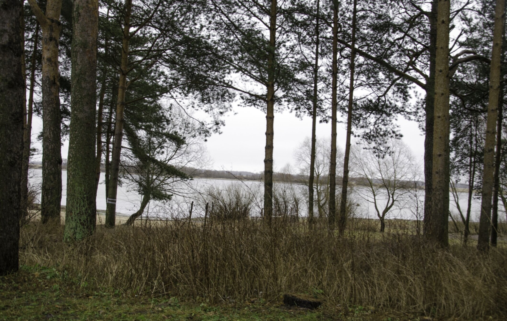 Озеро Островито у стен Свято-Юрьева монастыря в зимнюю пору