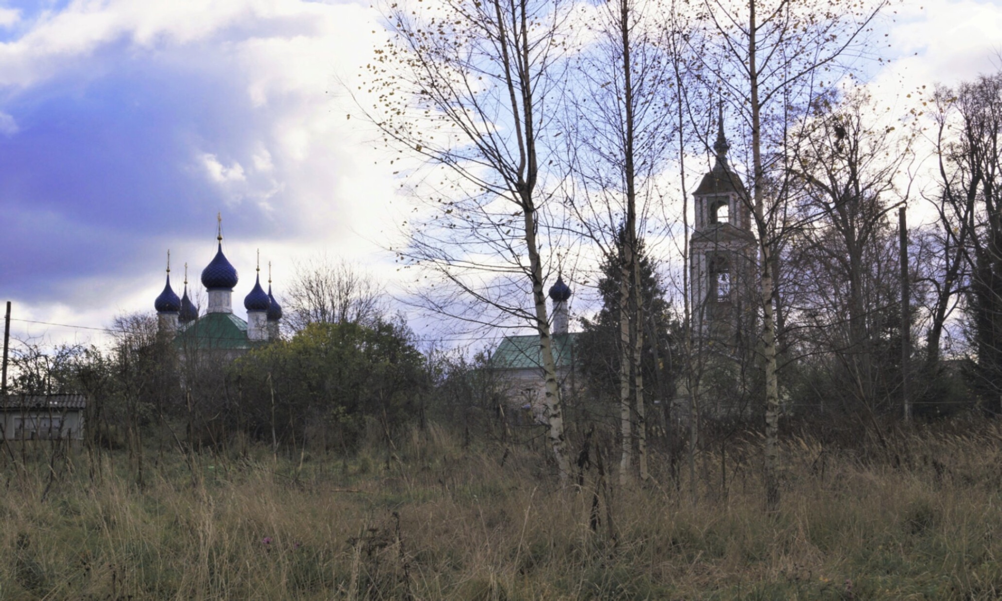 Спасская церковь в селе Васильевское