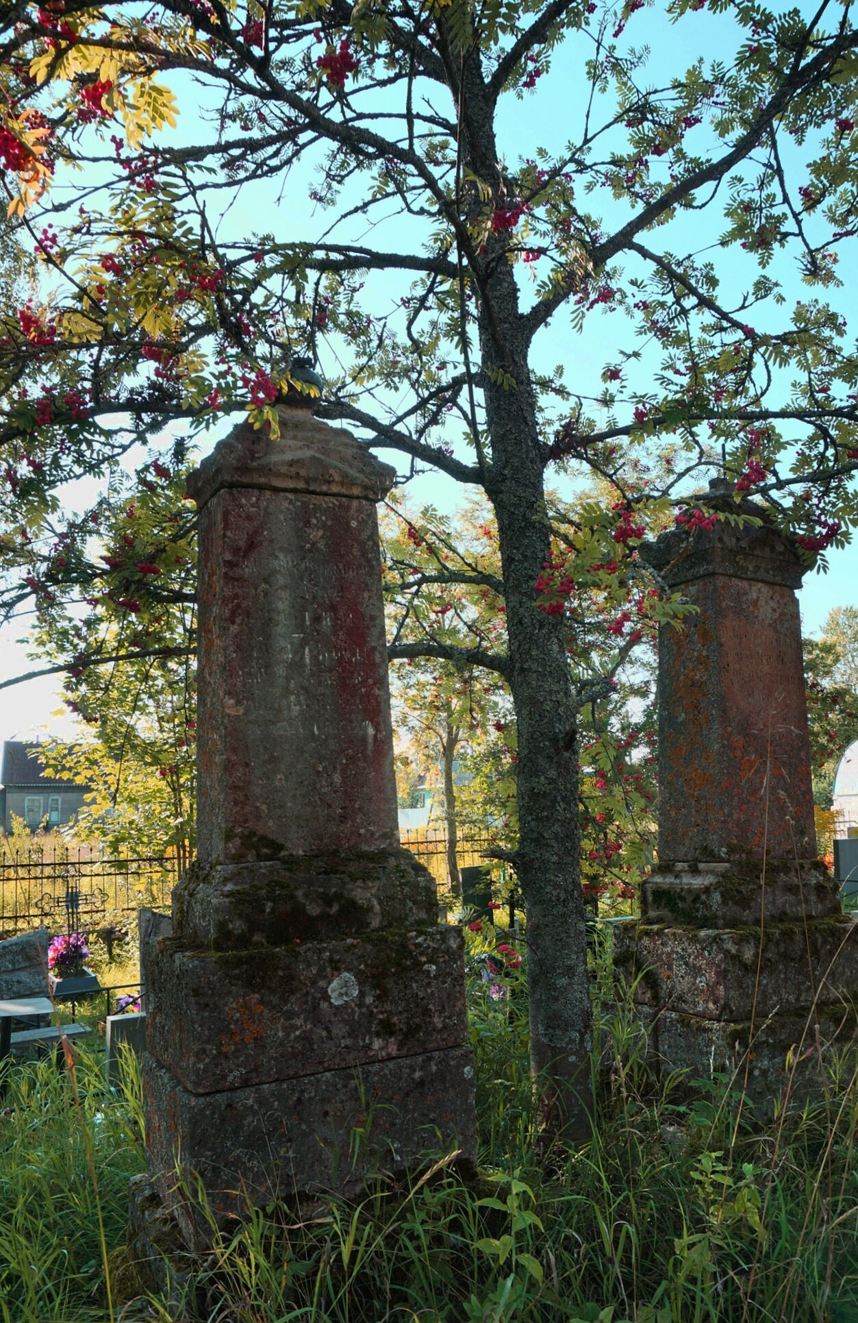 Старинные надгробия на кладбище Церкви Петра и Павла в Новой Ладоге