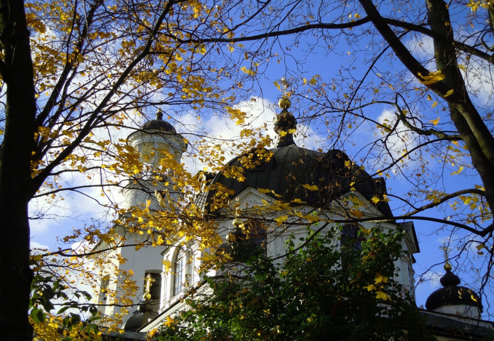 Храм святого Благоверного Князя Александра Невского в Усть-Ижоре