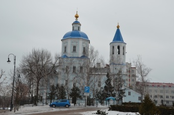Покровский собор в Тамбове: зимняя фотография