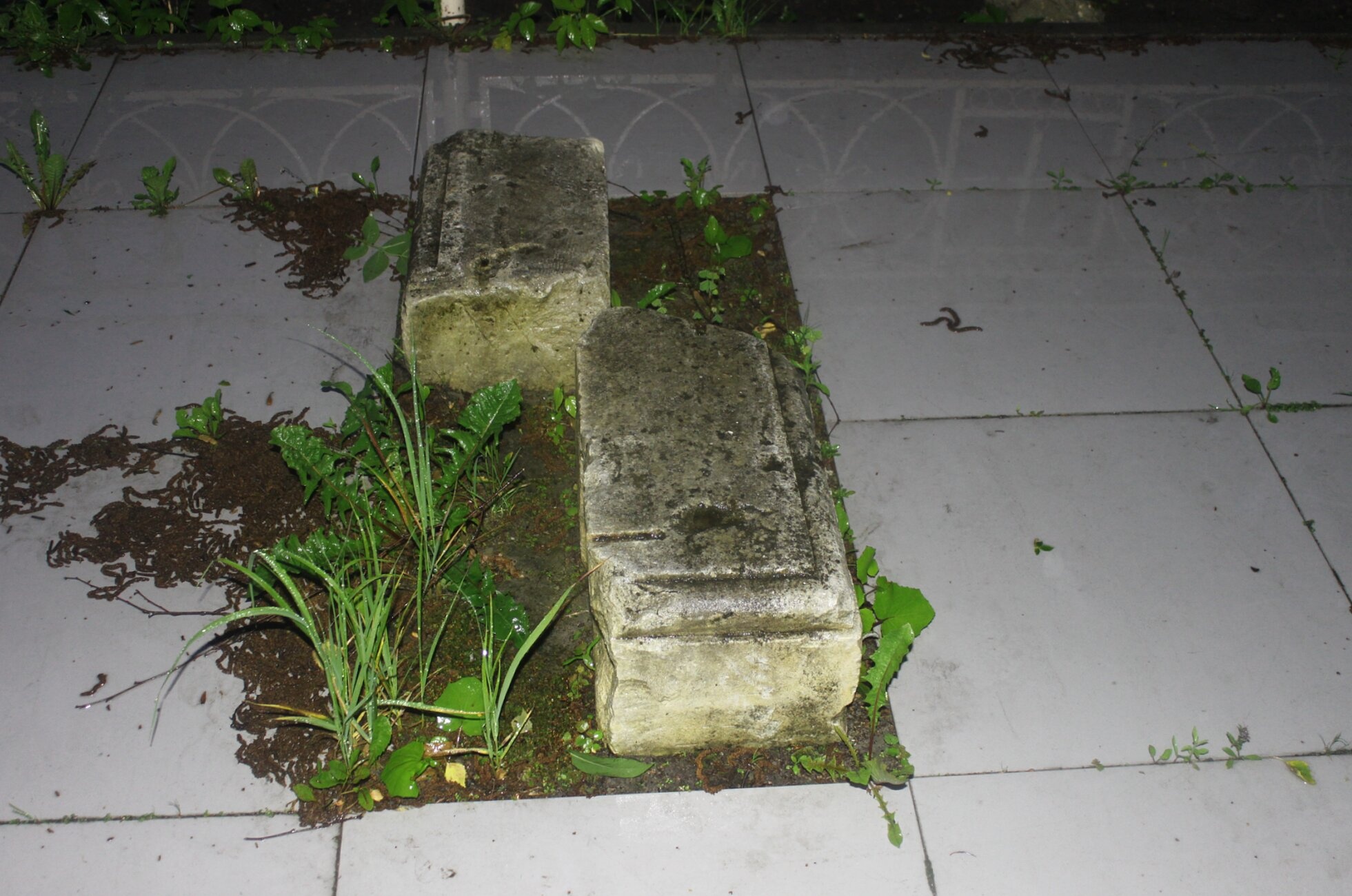 Архитектурные фрагменты Свято-Лаврентьева мужского монастыря в Калуге