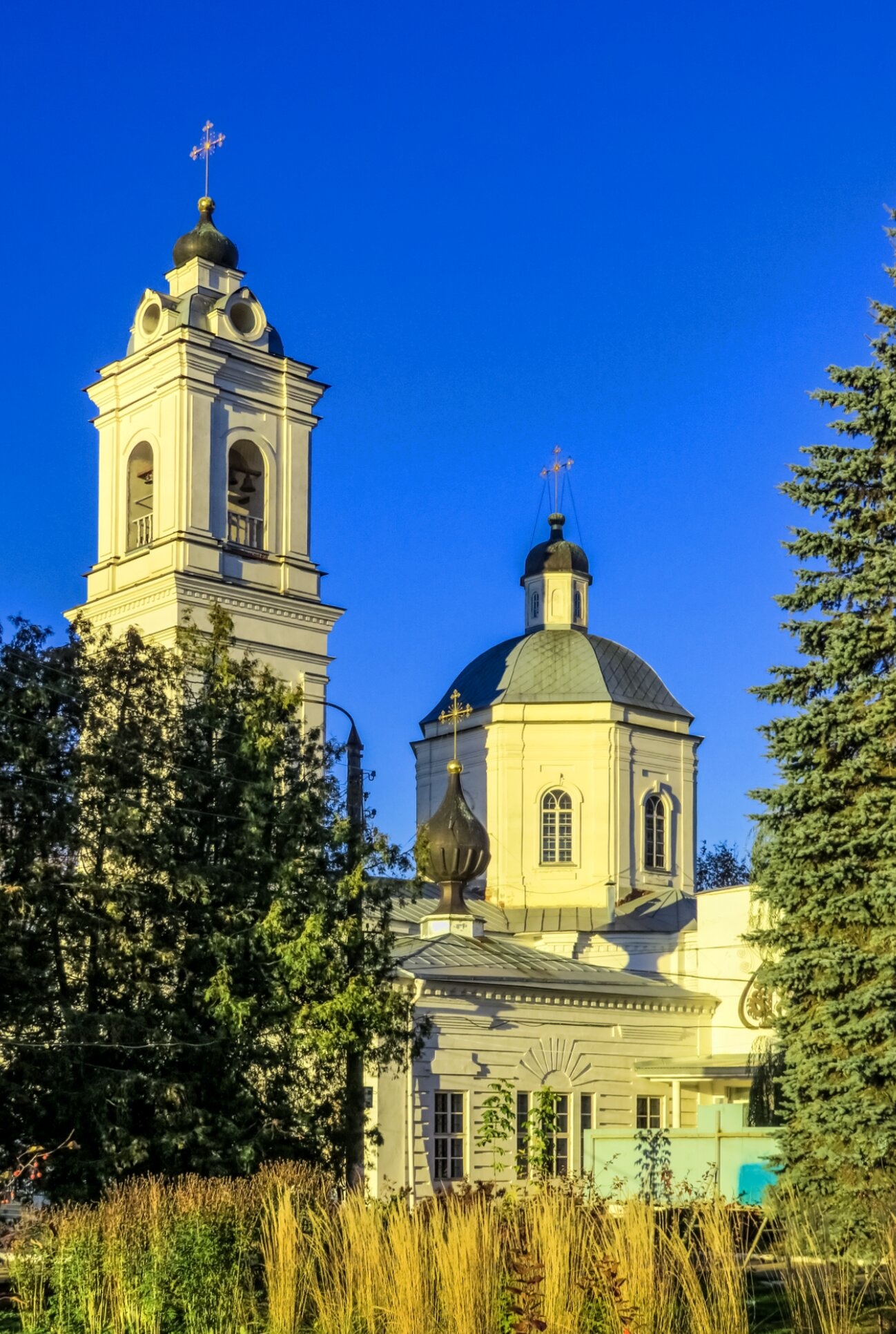 Собор святых апостолов Петра и Павла в Тарусе