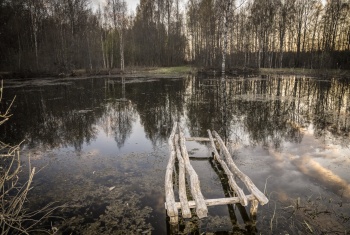 Церковь Казанской иконы Божией Матери в Светочевой Горе