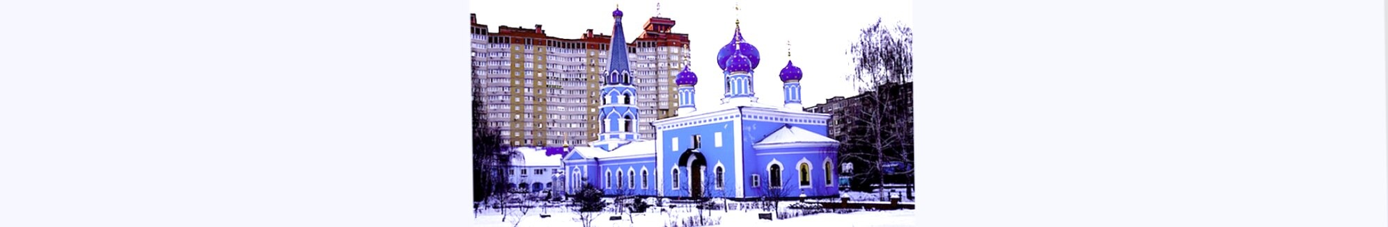 Храм Успения Пресвятой Богородицы в Воронеже — зимняя фотография