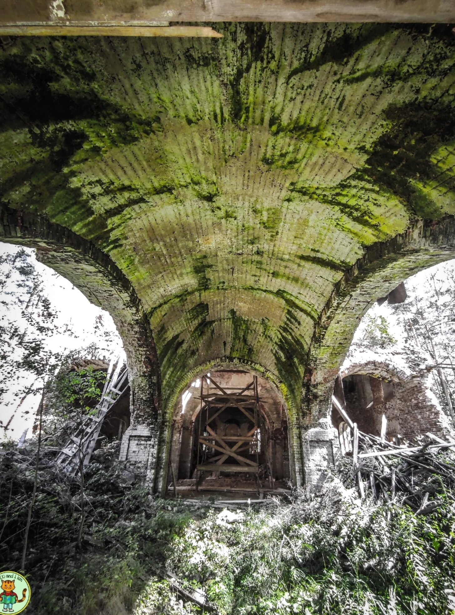 Церковь Покрова Пресвятой Богородицы в селе Ельцы: история в руинах