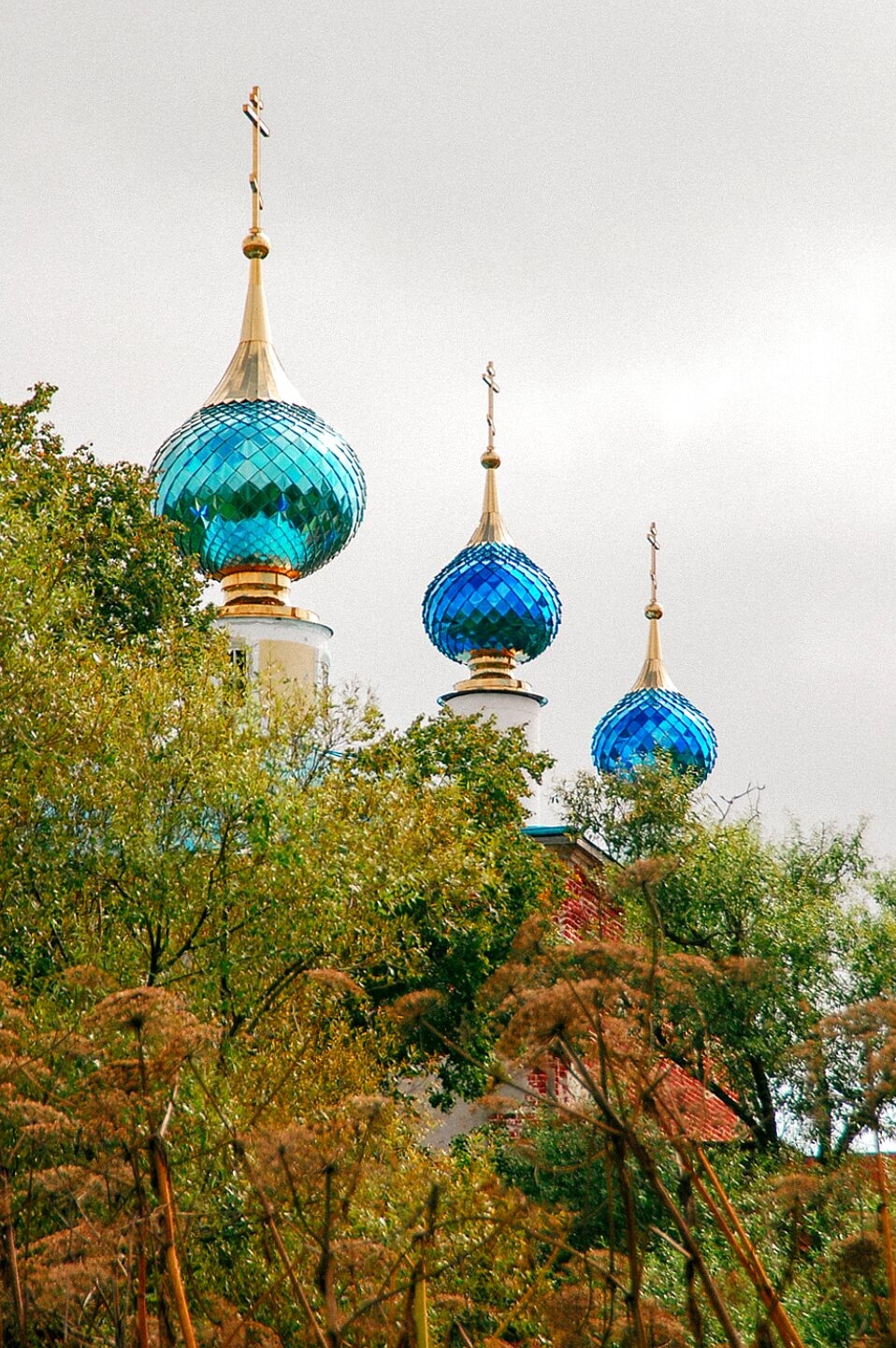 Купола Смоленской церкви в Ильинском