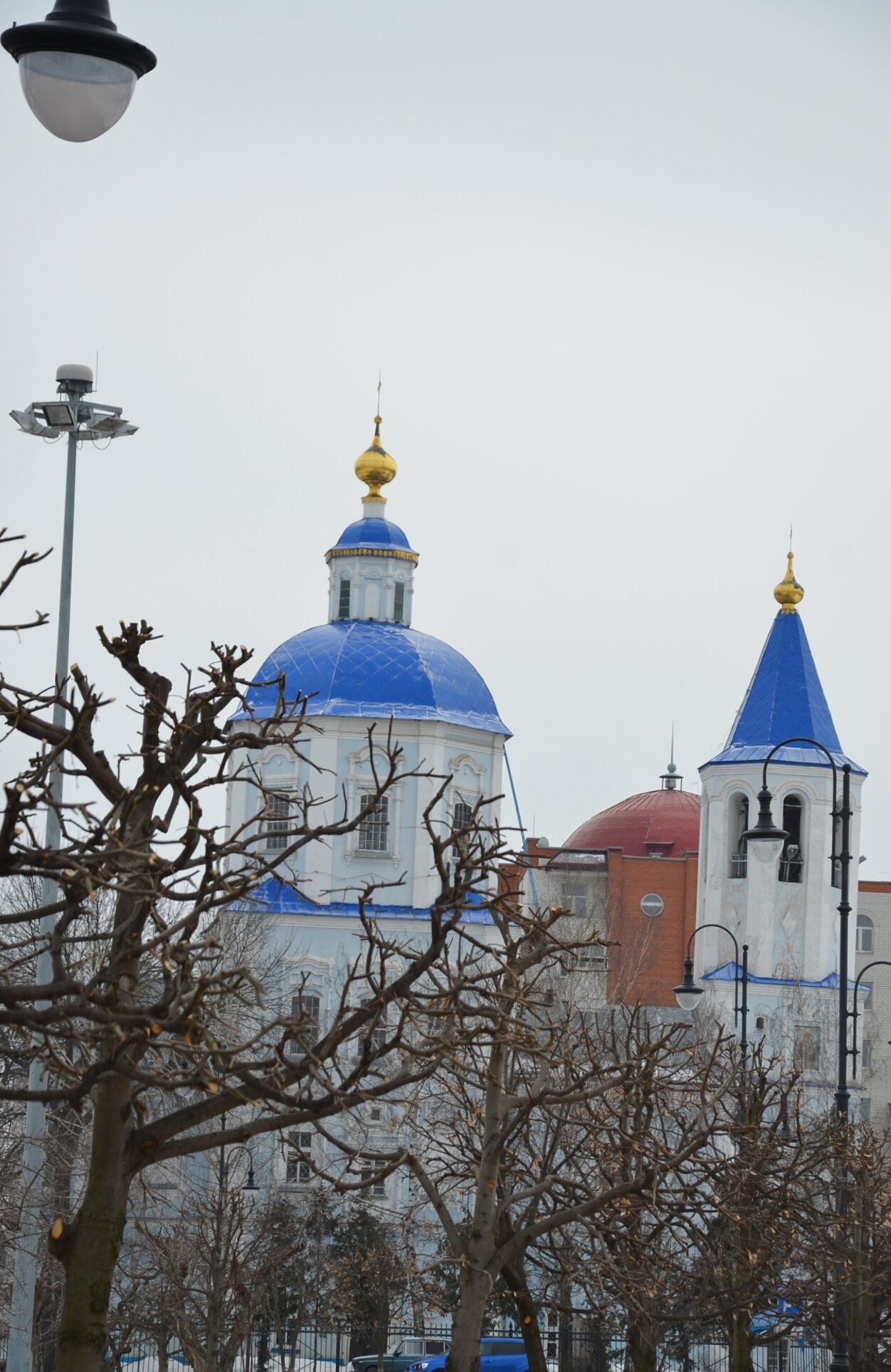 Церковь Покрова Пресвятой Богородицы в Тамбове - зимний пейзаж