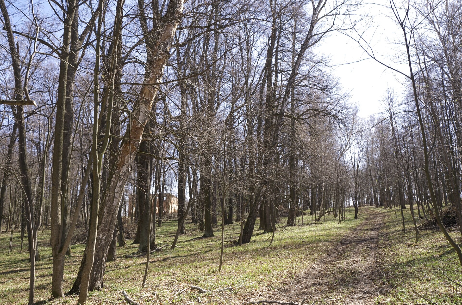 Церковь Космы и Дамиана в Кузьмино: история православного храма