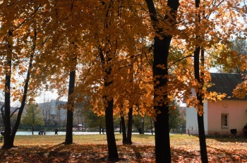 Церковь иконы Божией Матери «Знамение» в урочище Иевлево-Знаменское