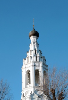 Колокольня Храма Благовещения Пресвятой Богородицы в селе Липицы