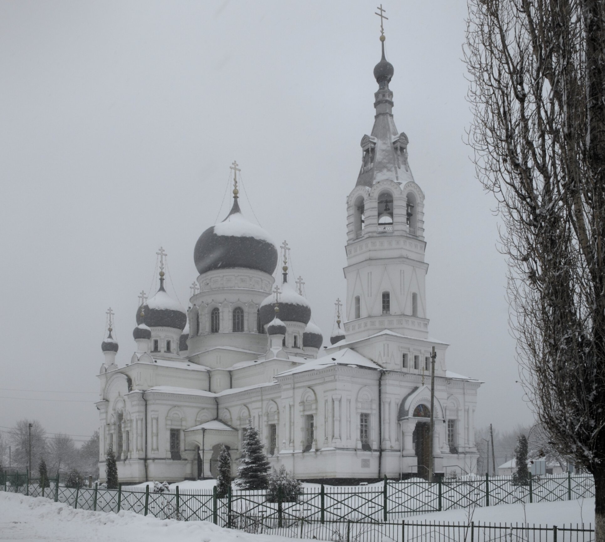 Христорождественская церковь в посёлке Анна в зимнем убранстве