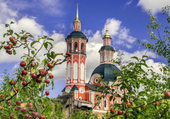 Церковь Спаса Нерукотворного Образа в селе Вяз