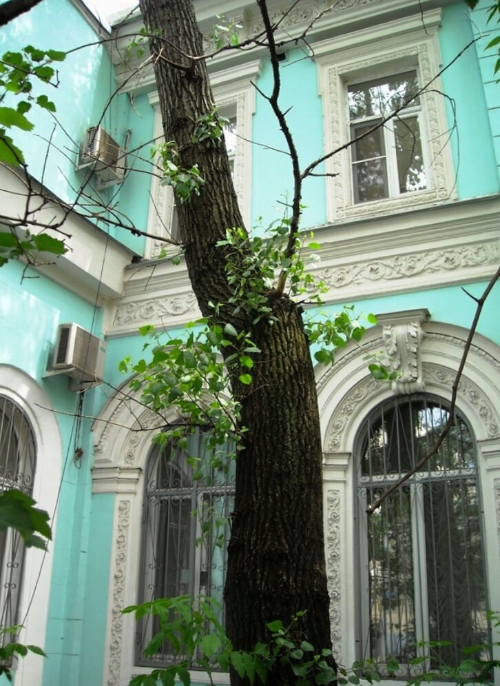 Воскресенская часовня в Мещанском районе Москвы