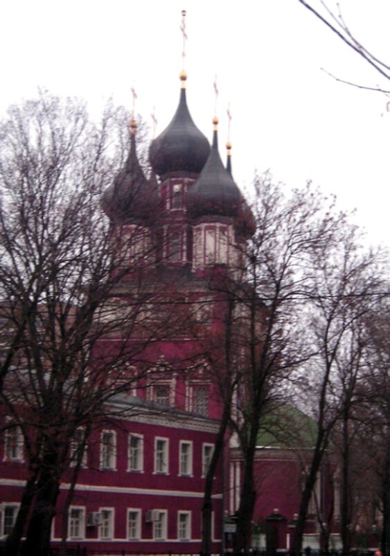 Храм Ризоположения на Донской улице в Москве