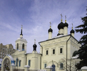 Кафедральный собор Иоанна Богослова в Саранске зимой