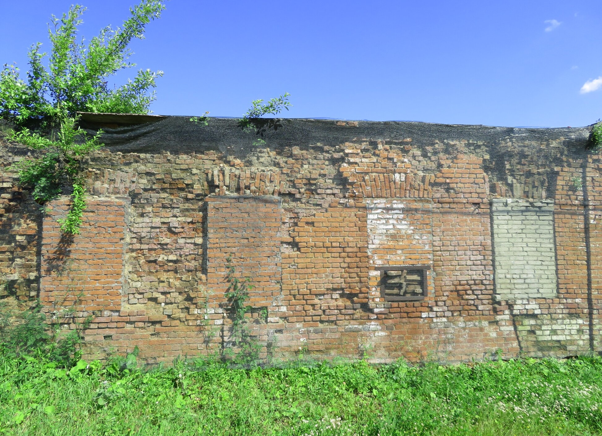 Церковь Николая Чудотворца в Клёново: фотография храма