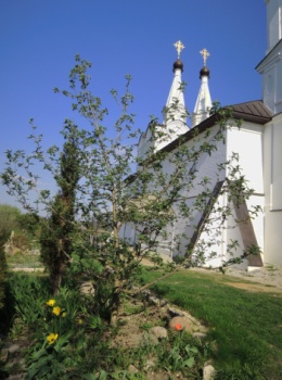 Спасо-Преображенский Воротынский монастырь - архитектура и территория