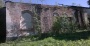 Церковь Воскресения Словущего в Васиковке