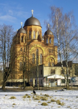 Собор Вознесения Господня в городе Электросталь