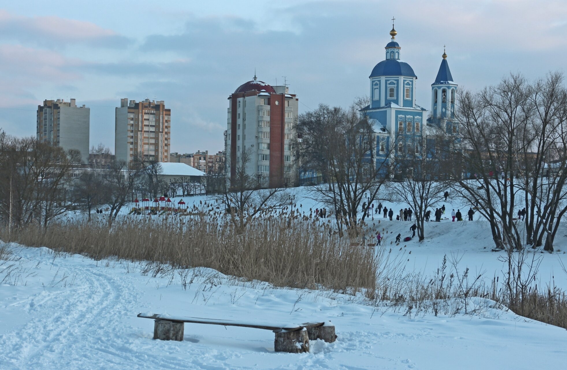 Покровский собор в Тамбове — зимний вид