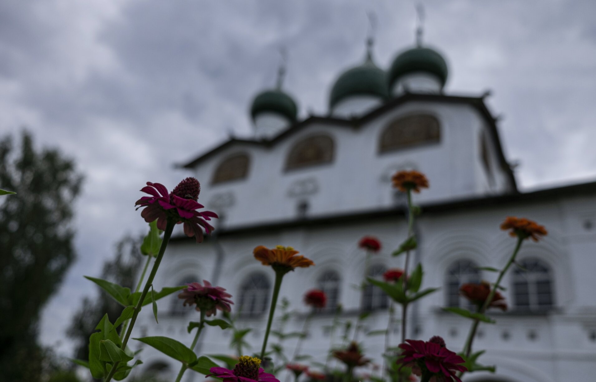 Никольский собор Вяжищского монастыря: цветущее обрамление древней святыни