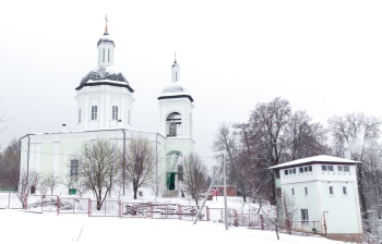 Храм Живоначальной Троицы в селе Ельдигино зимой