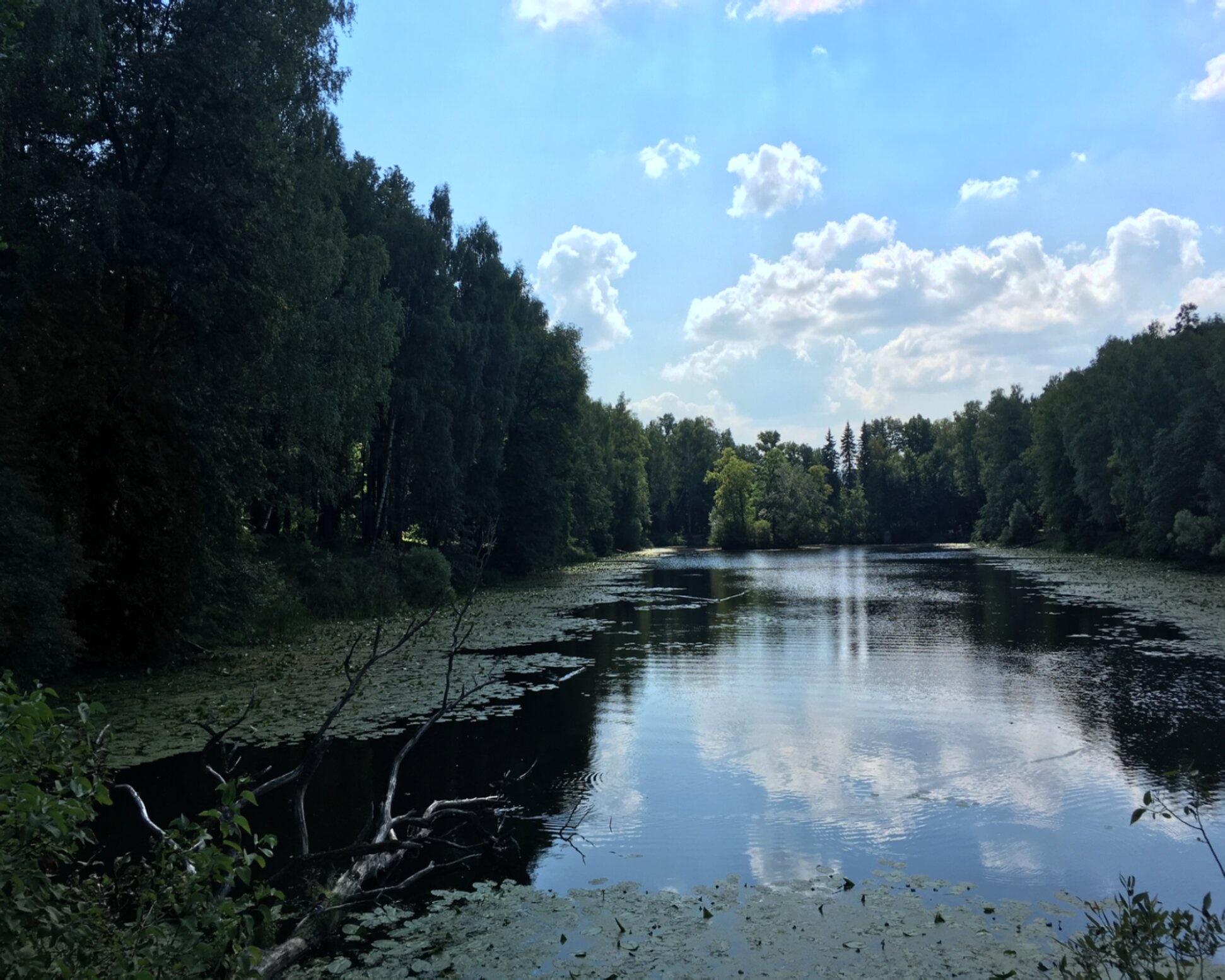 Храм Николая Чудотворца в Федоскино
