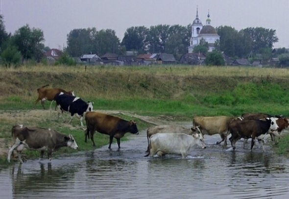 Храм Живоначальной Троицы в селе Архангельское