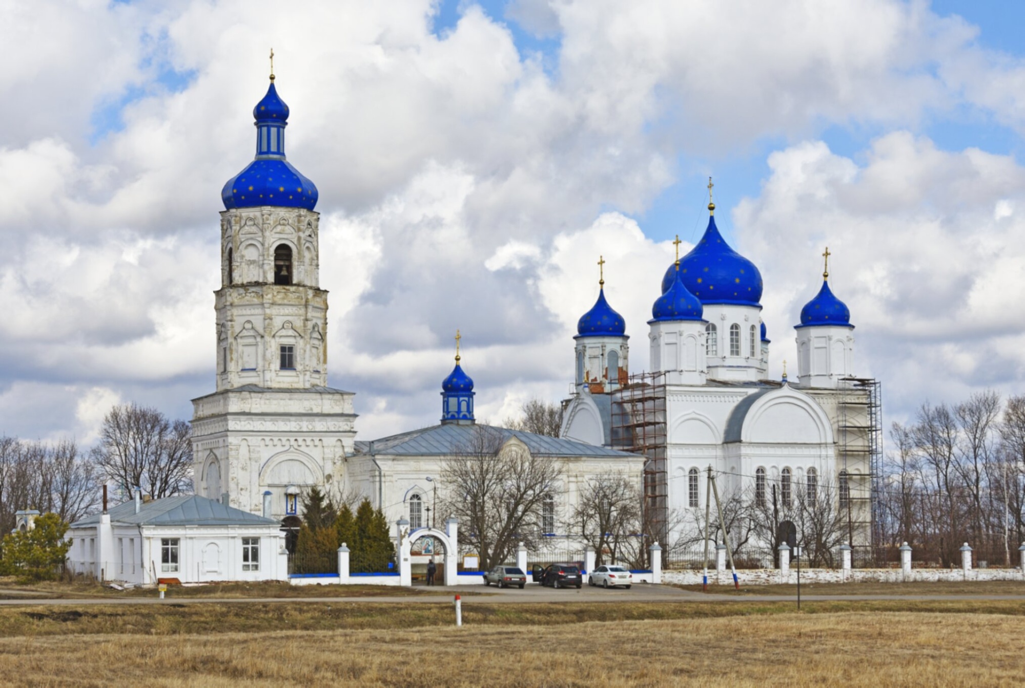 Церковь Боголюбской иконы Божией Матери в селе Зимарово