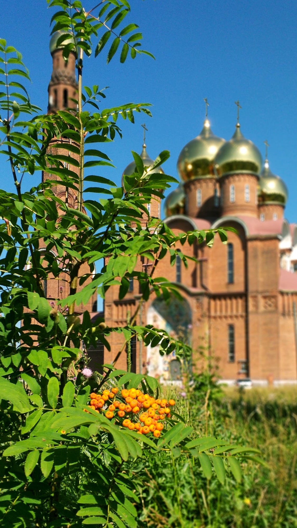 Воскресенский собор в Вичуге
